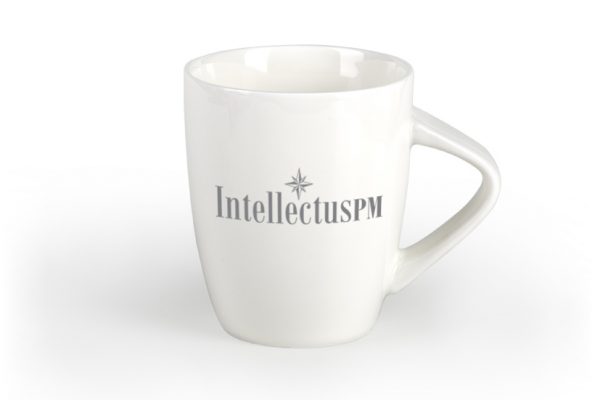INTELLECTUS PM salica